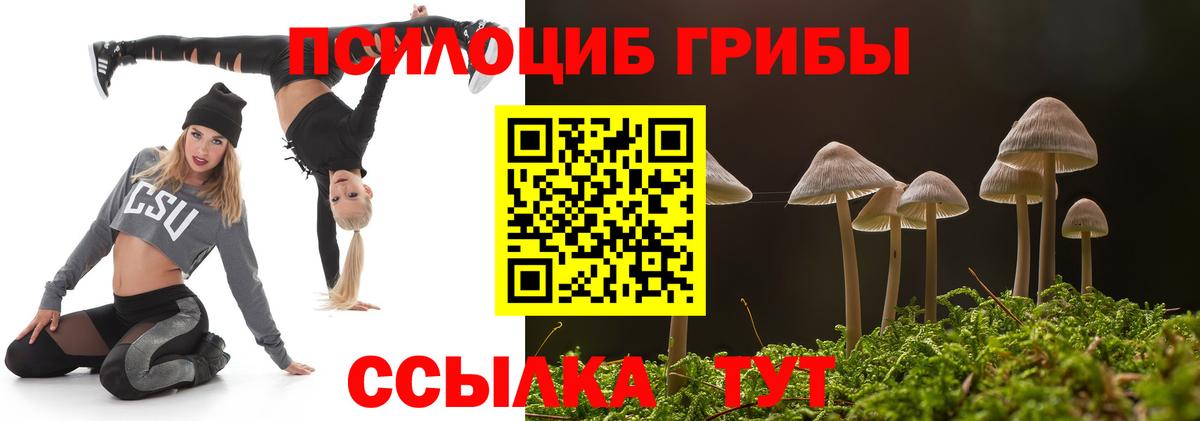 Галлюциногенные грибы Cubensis Сочи